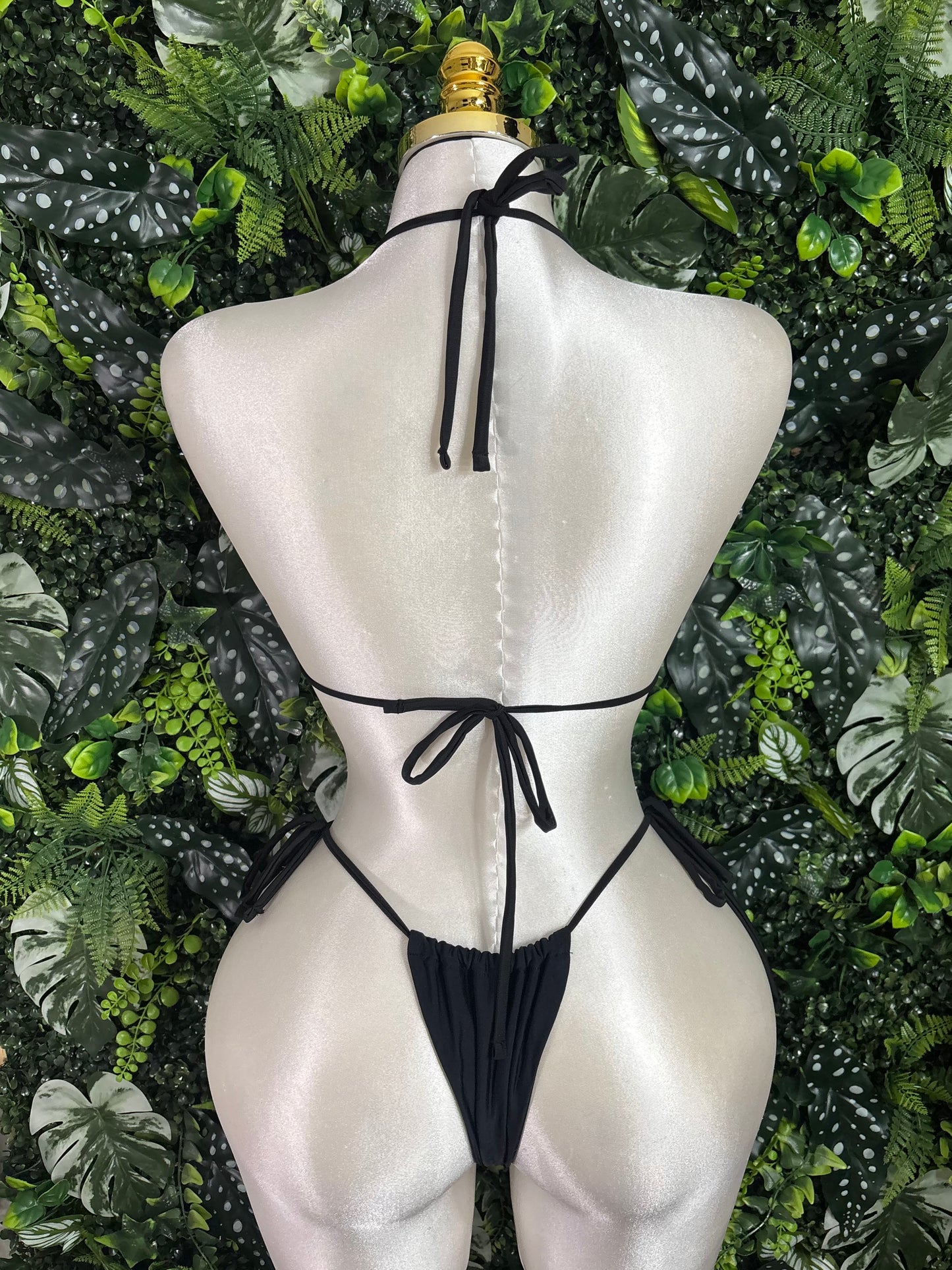 Concha Bikini
